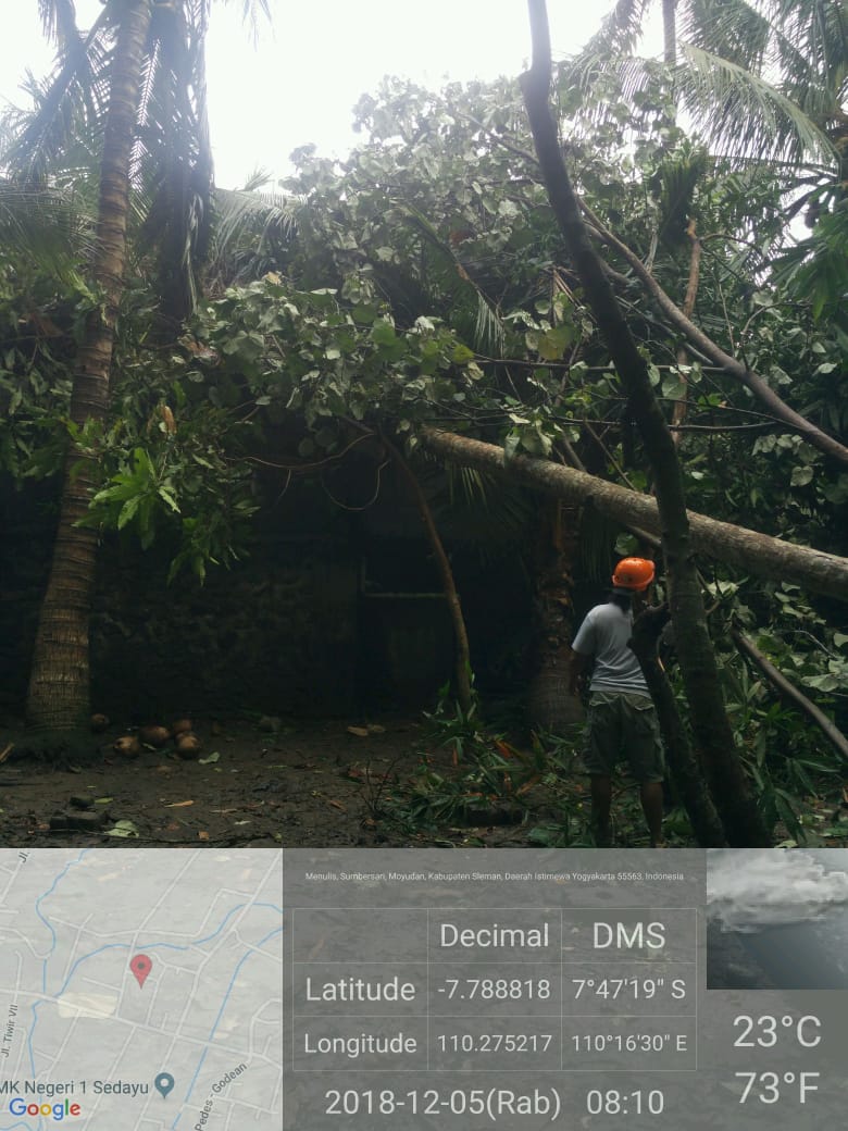 forkom_myd's tweet photo. LAPORAN  KEJADIAN Pohon tumbang
Rabu, 5 Desember 2018 pukul 00.05 WIB
1.Kelapa diameter 30cm panjang 12 m
2.Pohon waru diameter 35 cm,panjang 7 m
*Pemilik Rumah : Bpk Ngatijo 
Pemilik pohon : Bpk Jumeno
*Lokasi :* Sawahan RT 01RW 18,Tiwir VII,Sumbersari Moyudan,Sleman Yogyakarta https://t.co/nJYm8Jjy9d