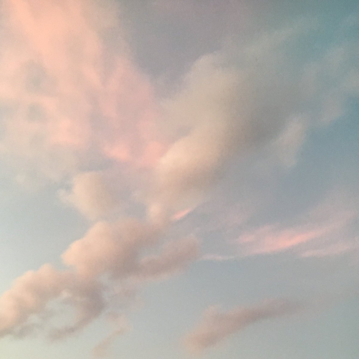 เ ว้ น ว ร ร ค ◦ soul in bloom ✿ tweet media