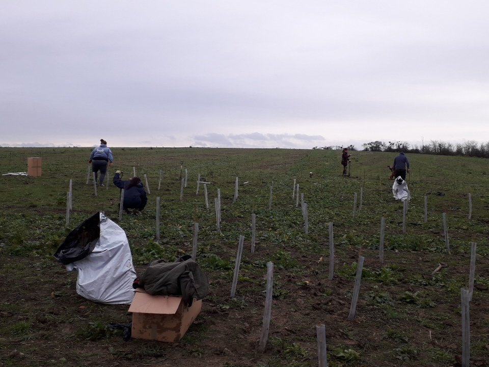 We are having a great day with colleagues from @CoxAutomotiveUK @CoxAutoLovesCV @The_HOEF planting trees outside of evesham today in conjunction with @networkrail #teamwork #ruralengland #givingback