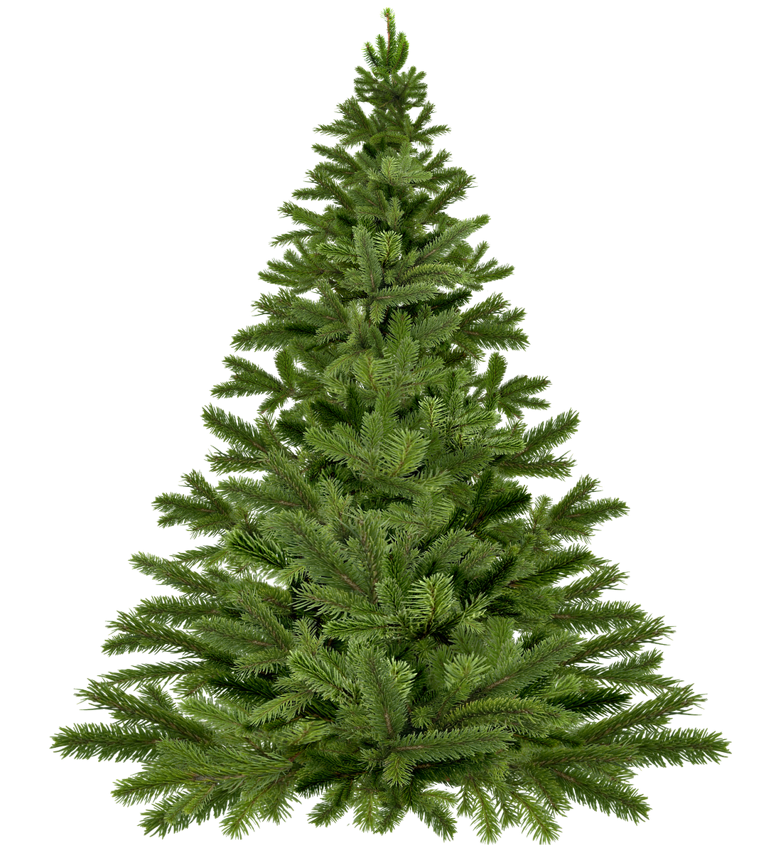 NEastbourne's tweet photo. #Homebase are selling REAL #Christmas #trees at an unbelievably #low #price – and you can pick one up TODAY! 

https://t.co/bhNyv9zEai https://t.co/bs4YYiE3od