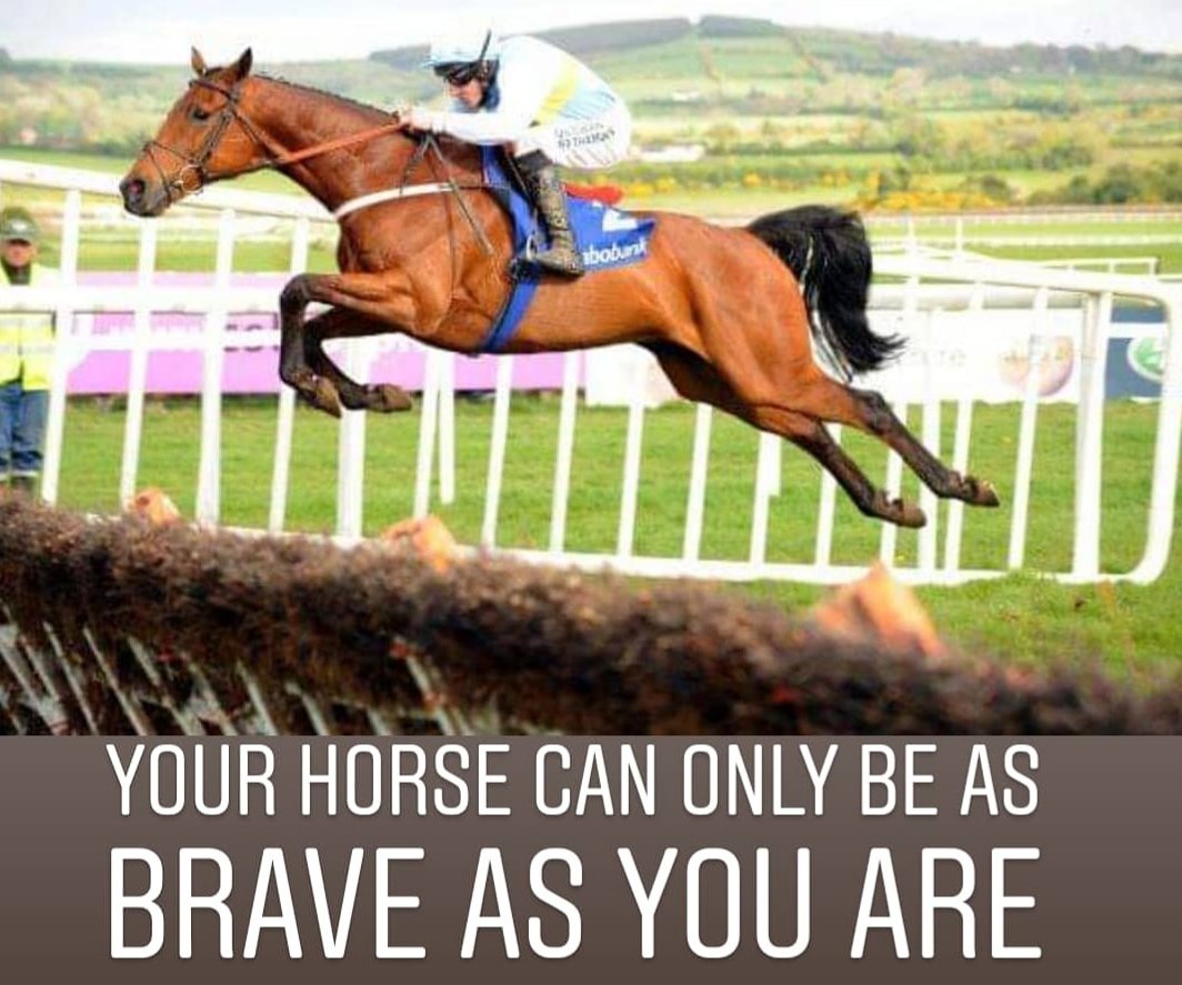 myequinepa's tweet photo. Your horse can only be as brave as you are @paddyflood @punchestownrace @IrishNatStud
#Throwback #equinehour #equestrian #equinelover #horselover #horse #racehorse #rh2rh #Champion #dualchampion #Cheltenham #3timefestivalwinner #punchestown #legend #myfav #hardy #brave #tough https://t.co/NAECbvPjmC