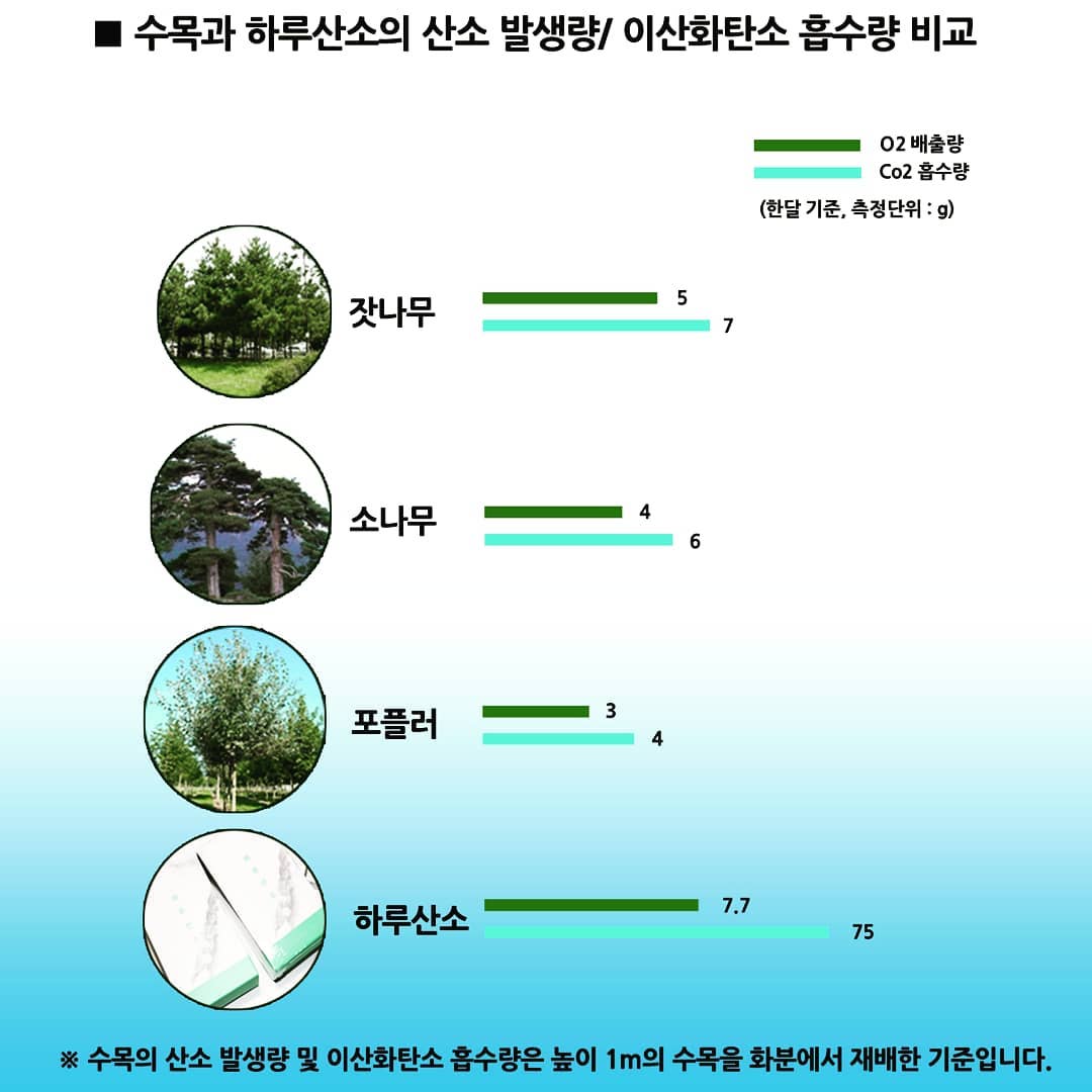 valueofday's tweet image. 하루산소 매커니즘은 실제 나무와 비슷한 탄소동화작용으로 산소를 내뿜습니다. 사진은 하루산소가 내뿜는 산소량을 여러나무와 비교한 사진입니다. 😀 하루산소는 2그루를 심은 효과와 같네요.~ #공기정화식물 #산소발생 #하루산소 #산소발생기 #이산화탄소배출량 #미세먼지 #이산화탄소 #소나무