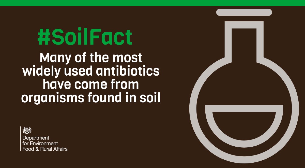 #DidYouKnow for soils to help grow crops efficiently and to cycle nutrients it needs a thriving food web. This means a full range of species, including bacteria, fungi and earthworms, have an important role to play! #WorldSoilDay #LearningFromTheLand naturalengland.blog.gov.uk/2018/12/05/wor…