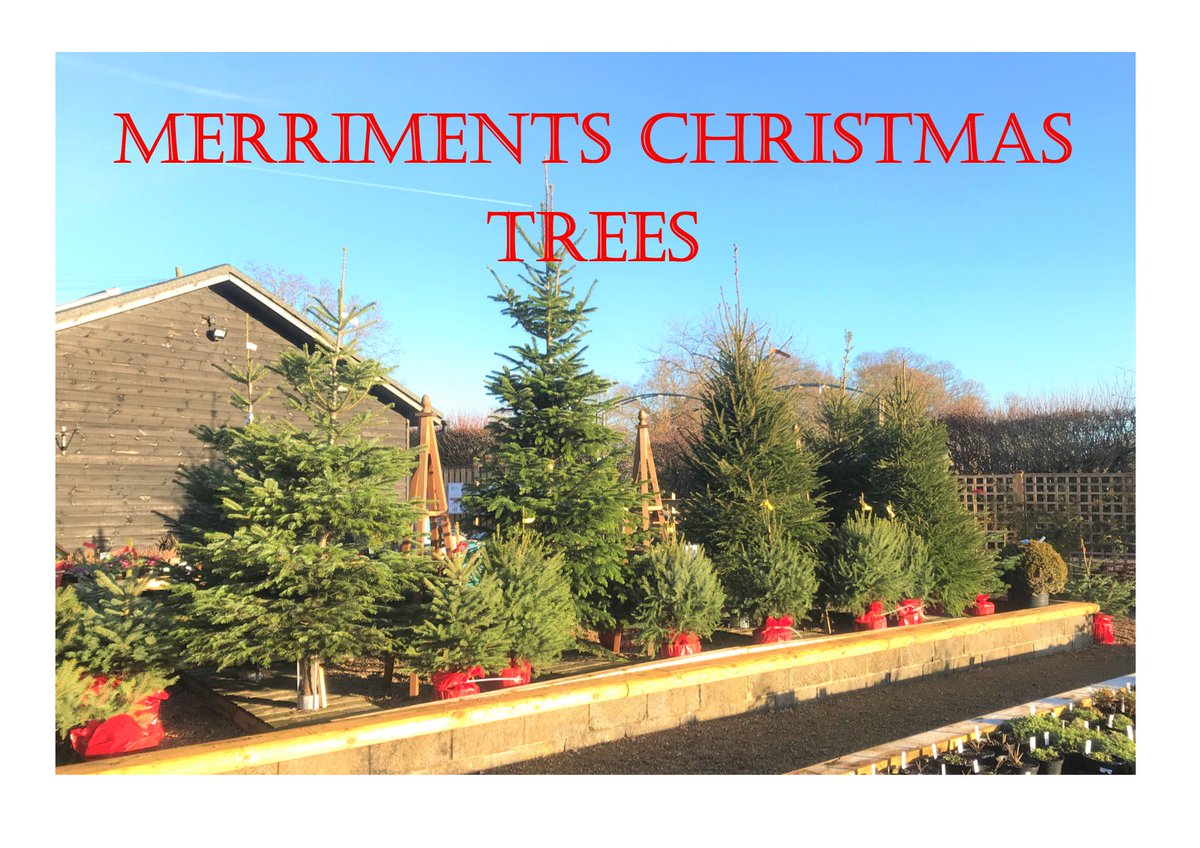 Merriments Gardens tweet media