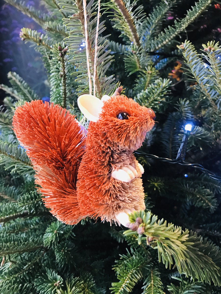 Merriments Gardens tweet media