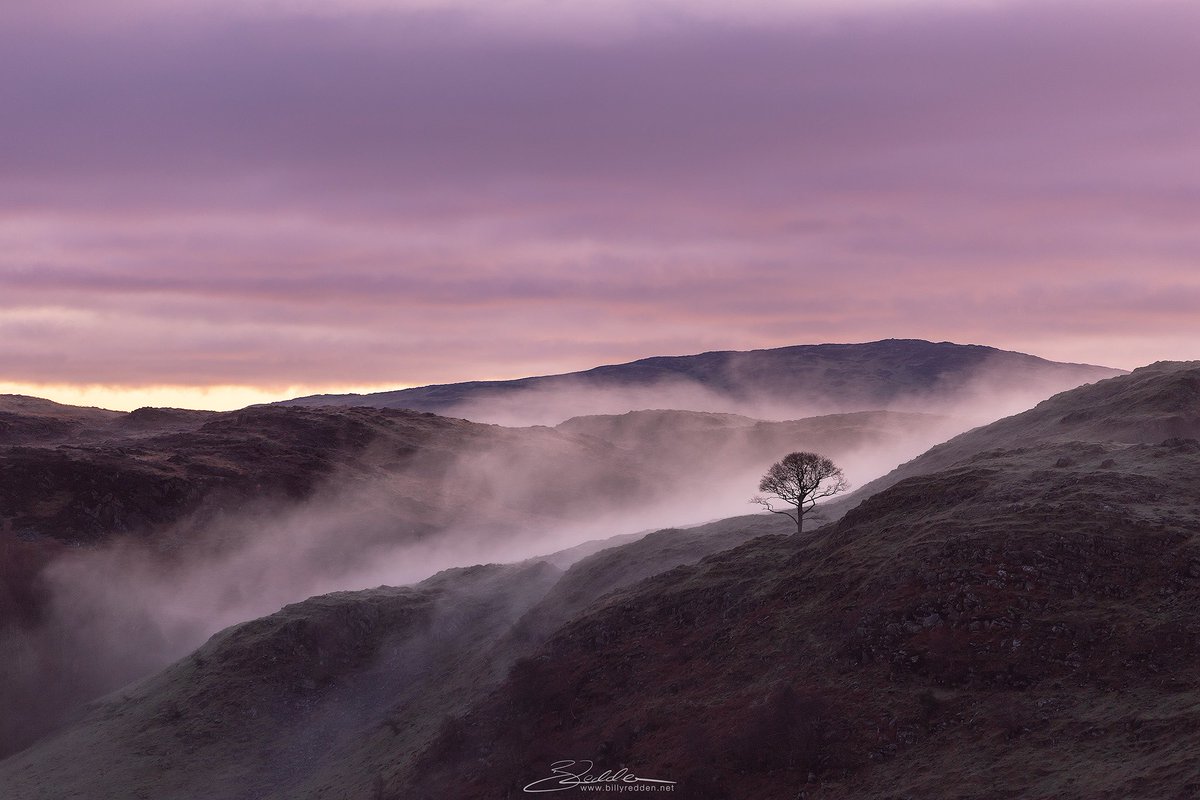 A fortunate 5 minutes Road side on the way to Blea Tarn with <a href="/lensdistrict/">Stuart McGlennon</a> yesterday morning before bumping into <a href="/flyingsailor87/">Ollie Pocock</a>. My first morning out in 6 weeks and a very welcome break from moving house
#lakedistrict