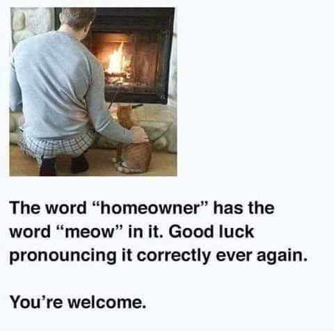 homeowner_irl