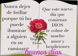 GiocondaValenz3's tweet photo. @JCTapiaLMB https://t.co/k3JP9le240