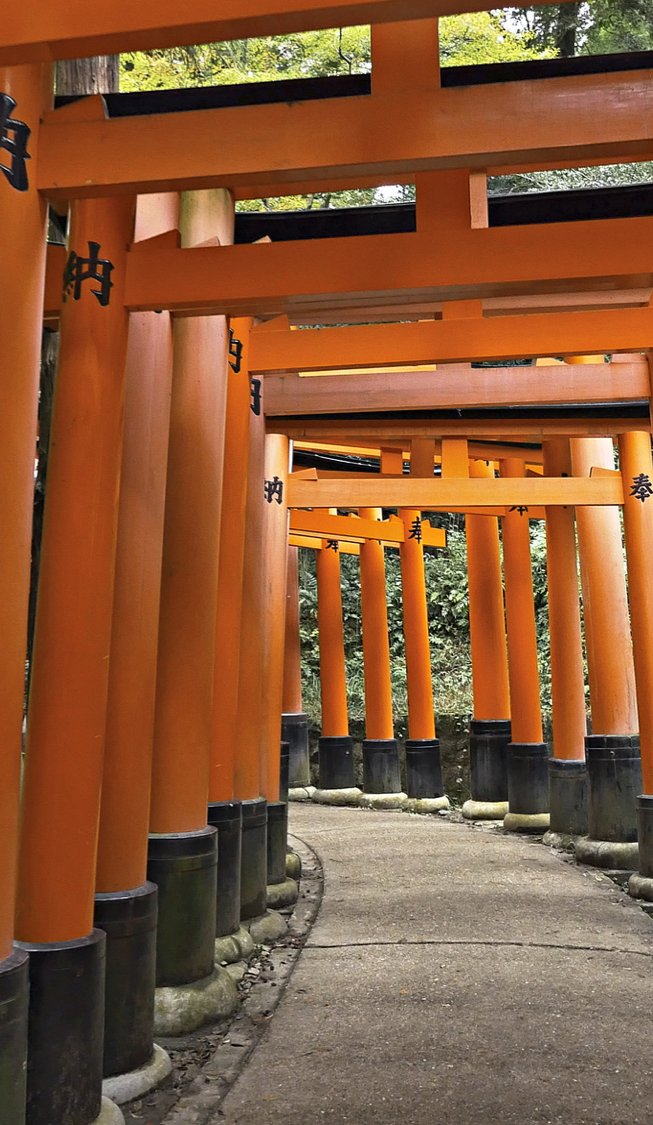 raisa6690's tweet photo. Ngomongin kota yang indah di Jepang, salah satu yang paling indah itu Kyoto. Nggak cuma kaya unsur tradisionalnya, Kyoto juga keren banget pas lagi musim semi dan musim gugur. Sakuranya itu lho! Di Kyoto juga kita bakal dimanjain banget sama keramahan orang lokalnya! #JNTOID https://t.co/a3NCcdFAJw