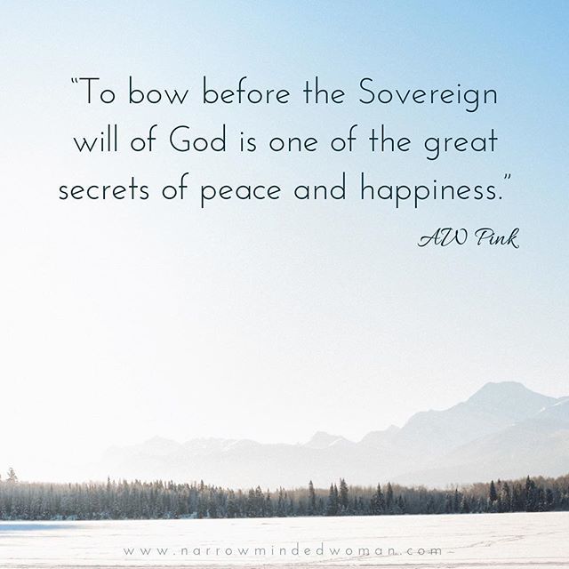 “To bow before the Sovereign will of God is one of the great secrets of peace and happiness.” ~ AW Pink (The Sovereignty of God)
•
•
•
#Godswill #willofgod #godssovereignty #sovereigngod #god #chrisitanity #christianliving #christian #peace #happiness #joy