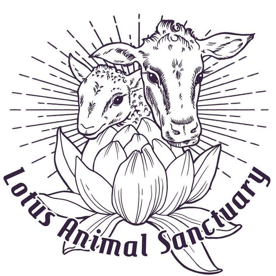 VGN_Connections's tweet photo. Information is key when becoming the voice of those who cannot speak up for themselves 🐖🐄🐑 join us at the Vegan Connections Christmas Market on Sunday to hear inspiring talks throughout the day in our cosy speaker's corner. 
Lotus Animal Sanctuary -12pm
Go Vegan Scotland -1 pm https://t.co/fV48g9HeOJ