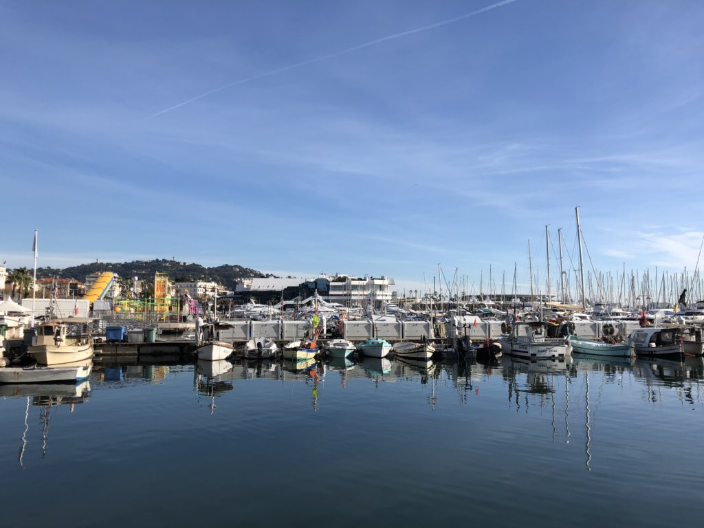 Real Yorkshire Tours tweet media