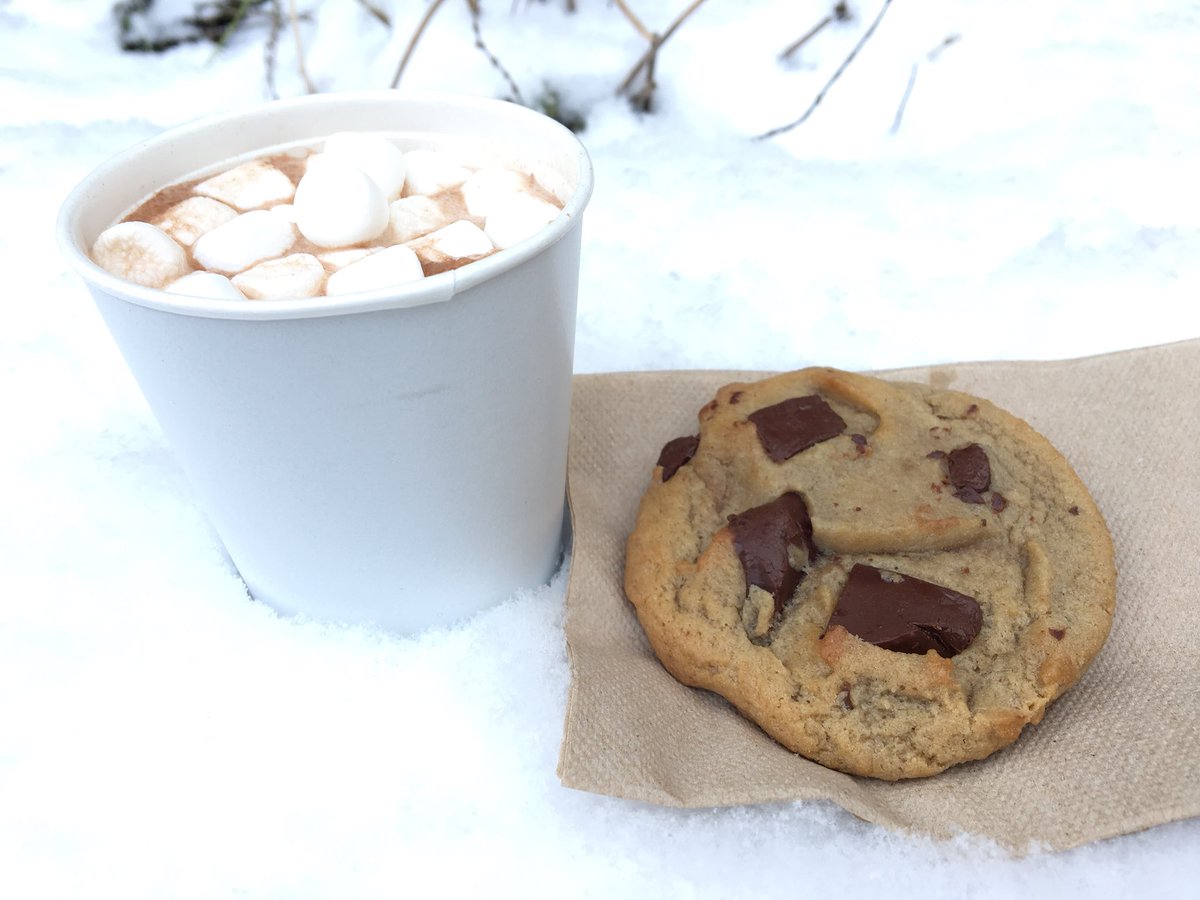 Cookies and cocoa! 12-4p in the WPU ball room. DIY stress balls, therapy dogs, raffle! Stop by the take a break or to study! @PittHealthyU #destress #finals