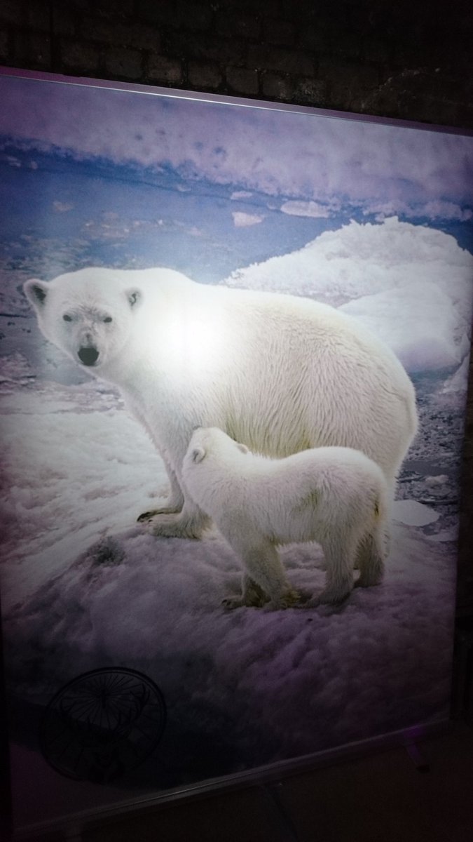 White Bear Yard tweet media