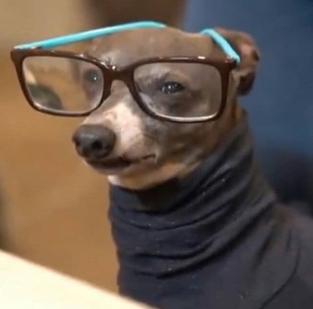 beat_wheat's tweet image. Me: Wikepedia is act–
English teachers: