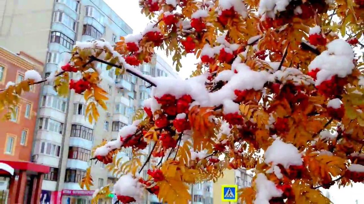 Andrey Tarlanov (@5baksov) on Twitter photo 