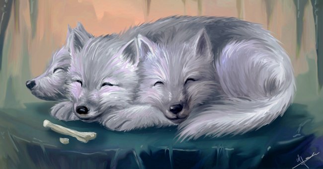 cerberus (@thegoliathdog) on Twitter photo 