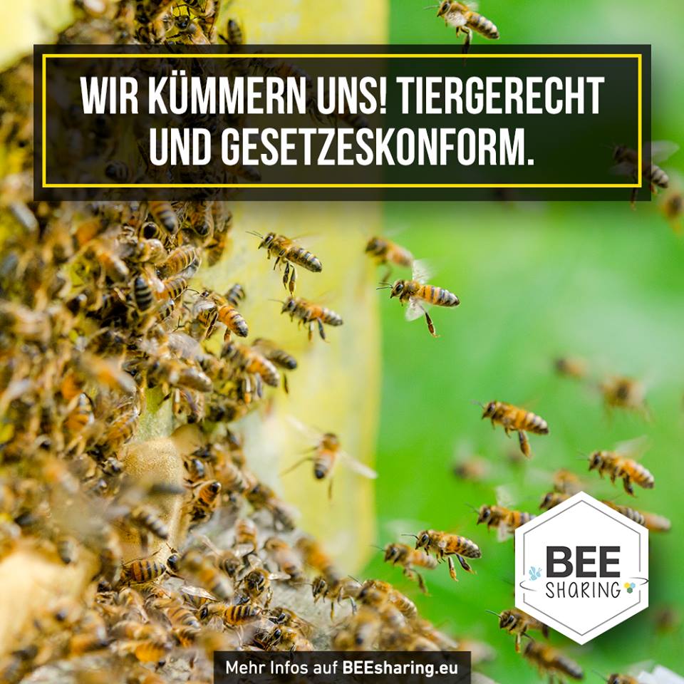 beesharing's tweet photo. Wir behandeln Eure und unsere Bienen mit Respekt und Ehrfurcht und geben ihnen rund um das Jahr alles was sie benötigen!

#tierschutz #savethebees #bienen #hamburg #imker #landwirtschaft https://t.co/x7L0SxKdF2