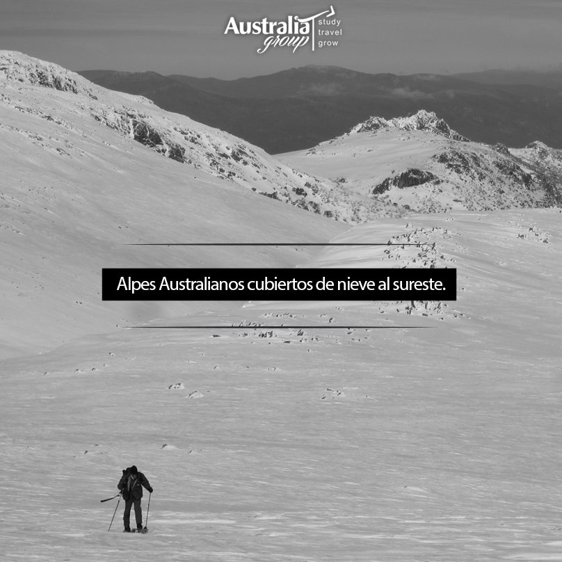 Australia Group tweet media