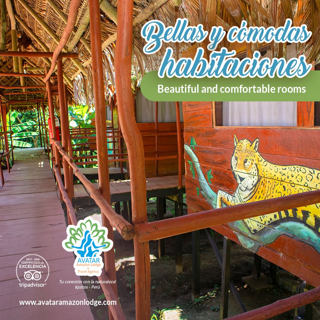 AvatarLodge's tweet photo. Nuestras hermosas y seguras habitaciones ecológicas te envuelven en la calidez y misterio de la selva. Disfruta el confort con los más bellos detalles!
🏕 🌺 ☀
🌎 https://t.co/PMgxTH9jfy
.
#5Dic #AvatarAmazonLodge #habitaciones https://t.co/U3VIiSXBtQ