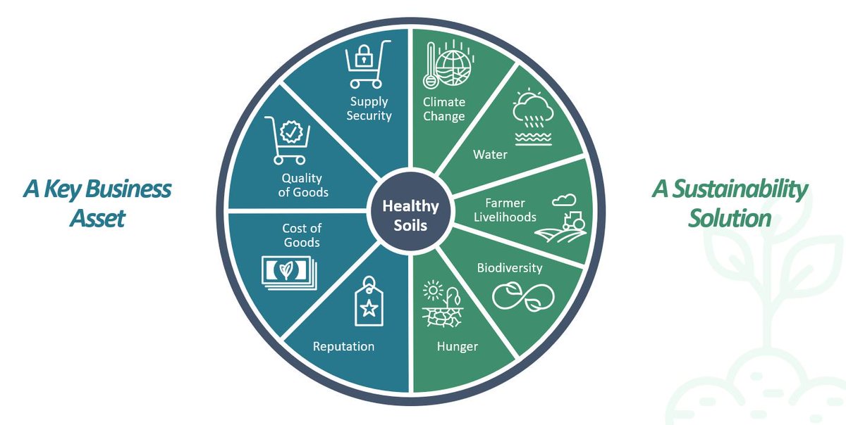 Carol Healy tweet media