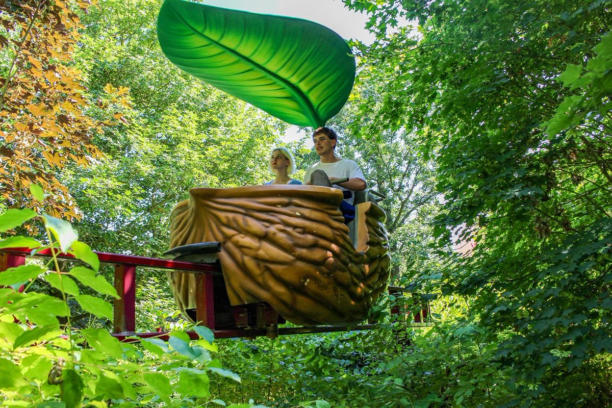 Angers# fréquentation en hausse de 10% pour Terra Botanica#
288 000 visiteurs en 2018, un record#
france3-regions.francetvinfo.fr/pays-de-la-loi…