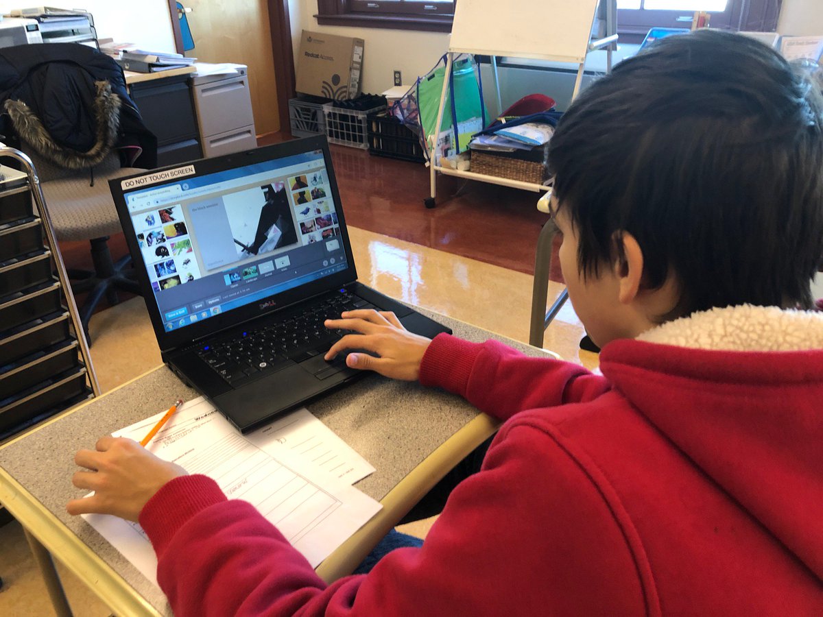 McDevittMiddle's tweet photo. Grade 8 McDevitt students using @Storybird to write creatively in ELA! #studentengagement #onewaltham #walthamedtech @sandymalec #storybird https://t.co/iHqYeQL01i