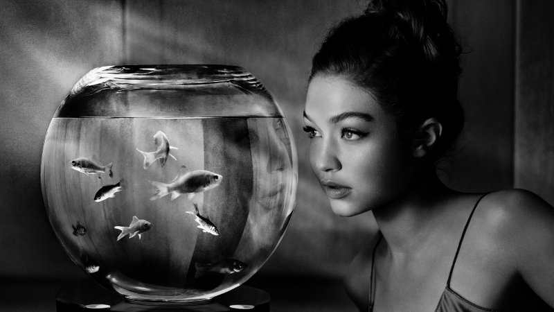 EFE Estilo (@efe_estilo) on Twitter photo Ggigi Hadid, protagonista del Calendario Pirelli 2019 #FelizMiercoles #Calendar @GiGiHadidARG <a href="/AslSibelSibelT1/">GigiHadidFan</a> bit.ly/2SxJ8Av <a href="/Pirelli_Ar/">Pirelli Argentina</a> Ggigi Hadid, protagonista del Calendario Pirelli 2019 #FelizMiercoles #Calendar @GiGiHadidARG <a href="/AslSibelSibelT1/">GigiHadidFan</a> bit.ly/2SxJ8Av <a href="/Pirelli_Ar/">Pirelli Argentina</a>