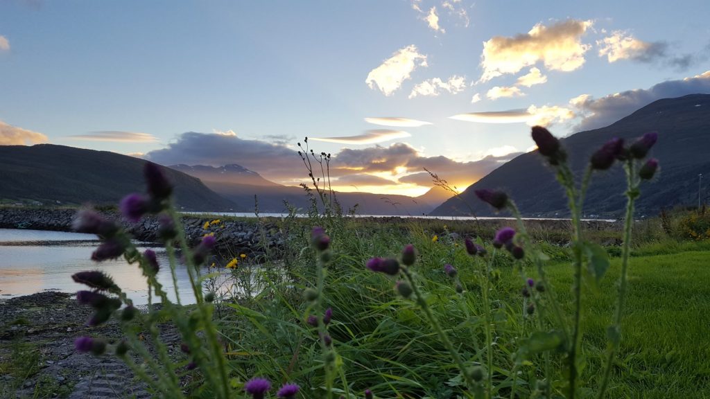 Nu har vi hittat rätta bröllopsplatsen! explorealittlemore.se/nu-har-vi-hitt…