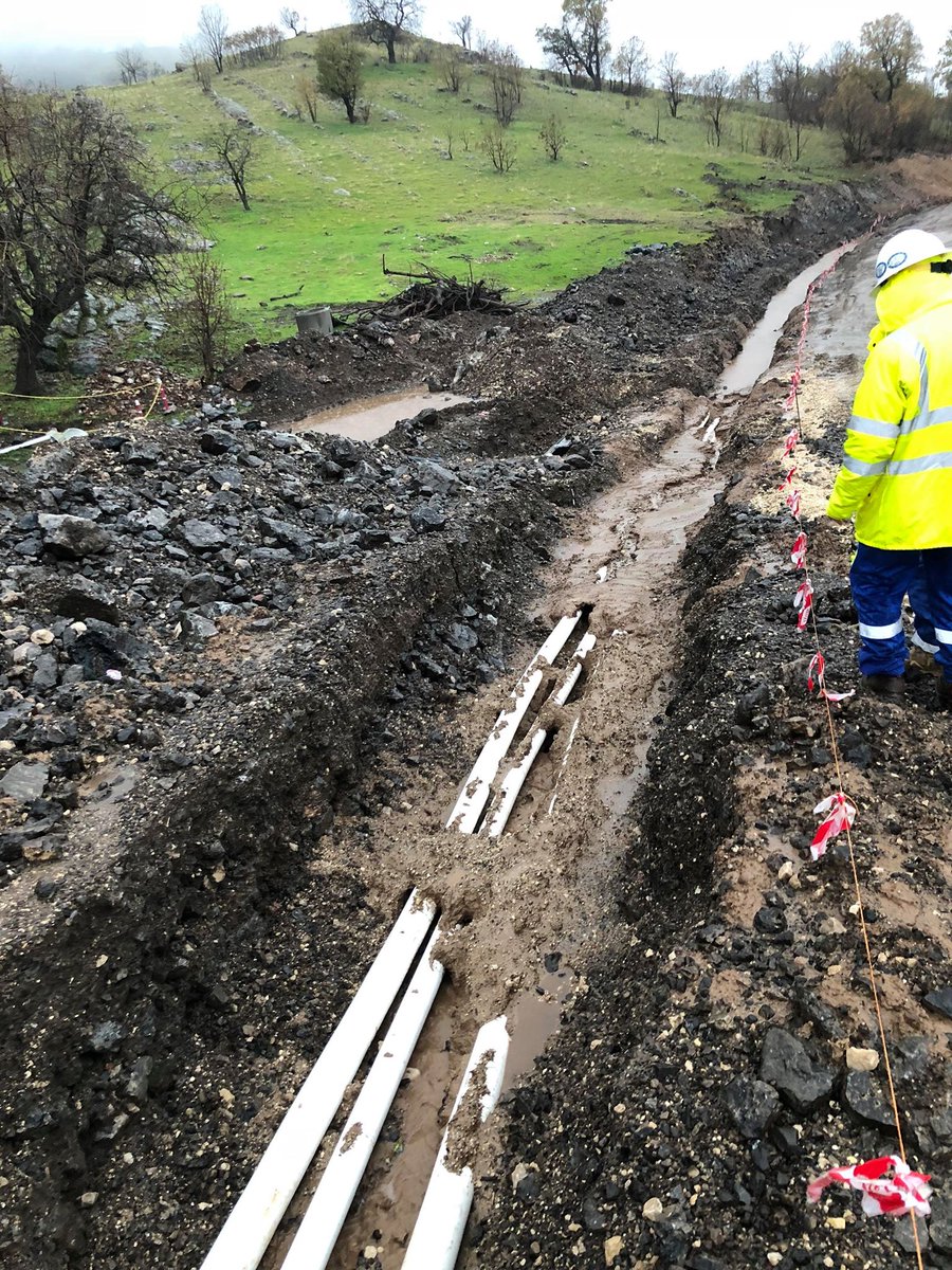 Kepi International tweet media