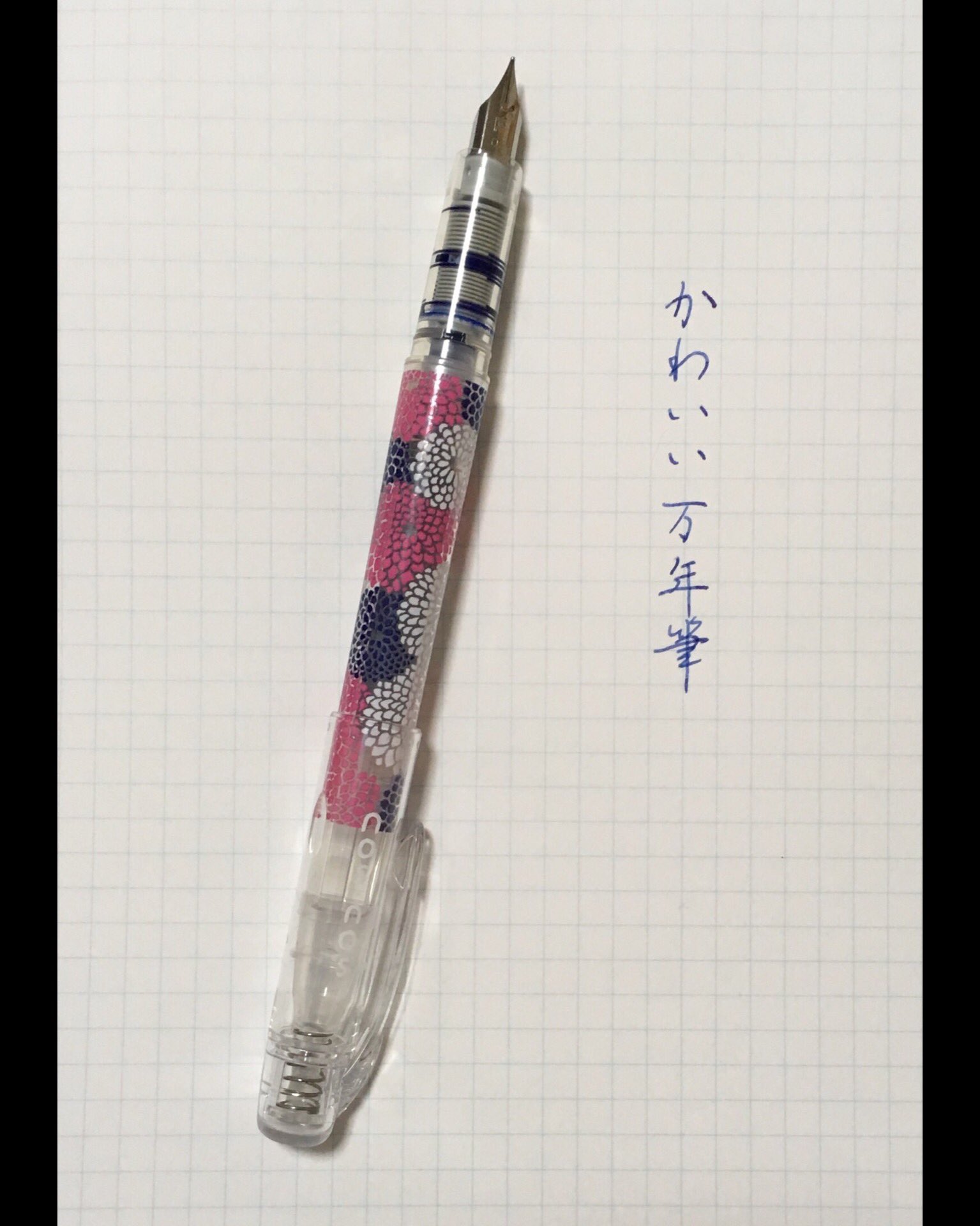 Mayudog Sur Twitter この万年筆 見た目可愛い 万年筆 万年筆好き Platinum プラチナ万年筆 Sou万年筆 菊づくし Sousou T Co Kurqzzptw3 Twitter