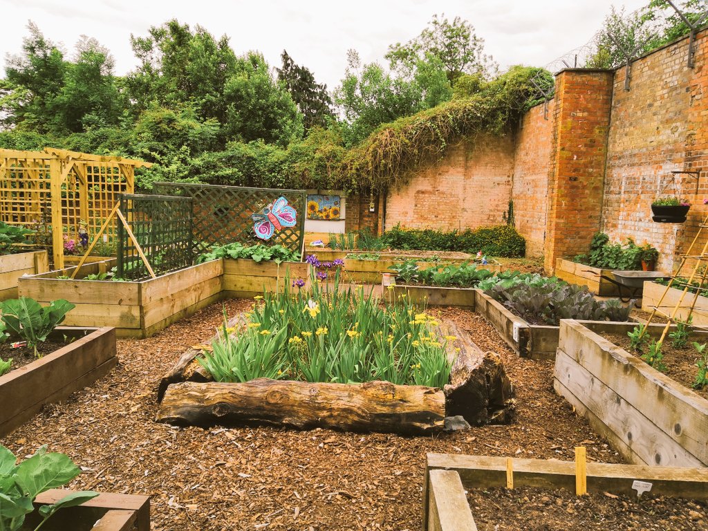 We are a small community garden in Glenbank Park Ligoniel Road. We have been here for the pass four years now and as our garden has grown we are again looking for volunteers. Our opening times are 10 till 1 each Tuesday and Wednesday and on a Sunday. Happy Gardening 🍓🥕🌽🍅