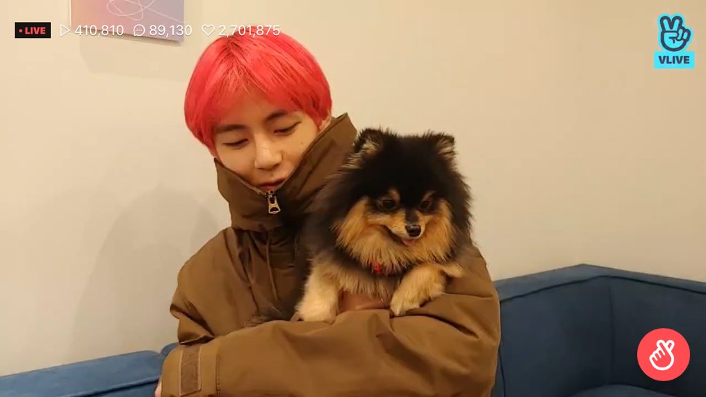 V BTS bersama Yeontan