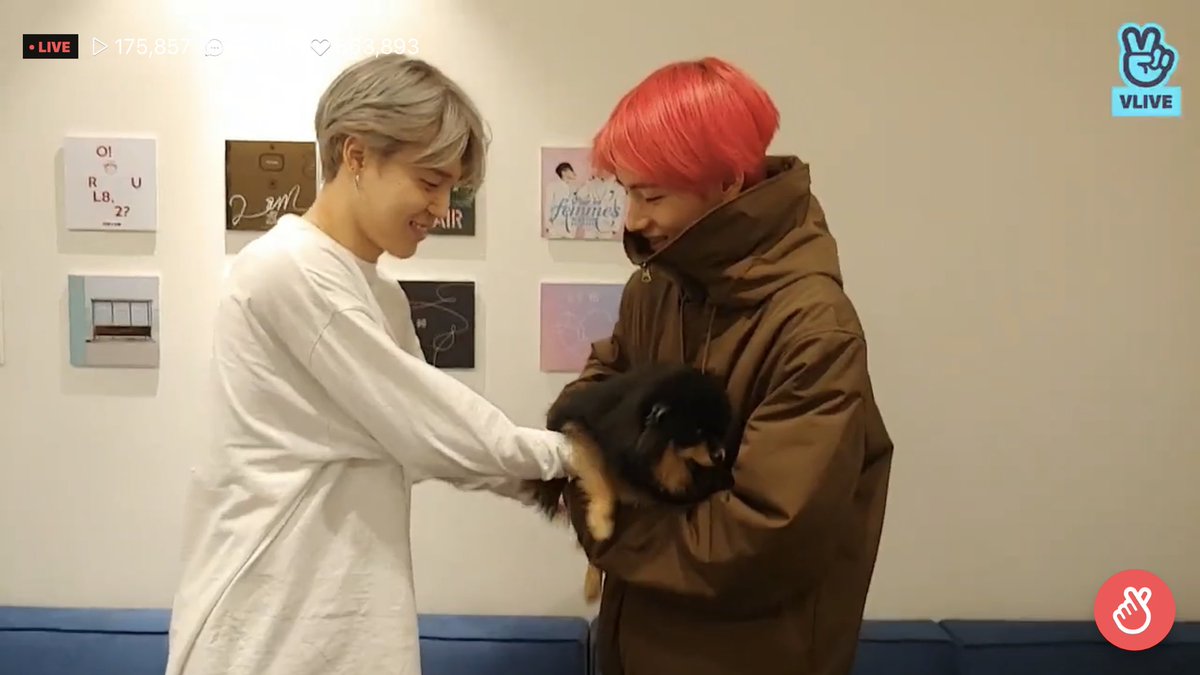 jiminiful's tweet photo. 어 귀여우엉ㅜㅜ ㅠ 🐶❣️ https://t.co/8vA8jT7HSo