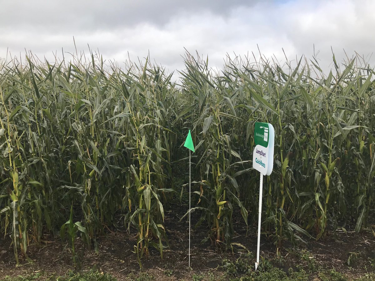 BioAgNeal's tweet image. Happy World Soils Day!  The best way to improve your farm is to improve your soil.  Using beneficial microbes builds soil health and cycles nutrients faster!