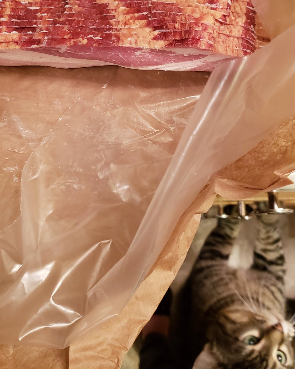 shov6's tweet photo. @peta But what if I do work hard to bring home the bacon? Bagels are usually just an impulse buy. #supportlocalagriculture #FirstAmendment #bacon https://t.co/24BsJv0JPm