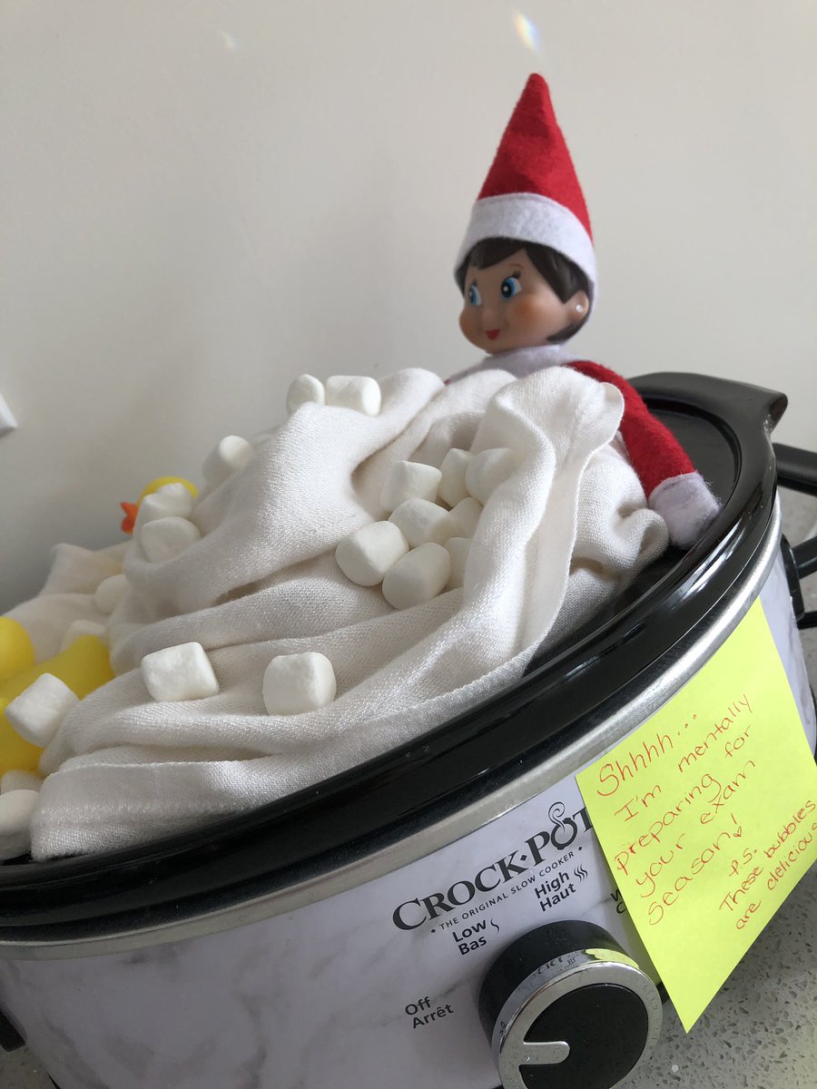 hog_mom's tweet photo. @steph_baiden Day 5: our kitchen has officially turned into an elf bathroom, the marshmallows have been tainted, and I now have the support of our elf for my exams #thankself https://t.co/6rQVF5EXJv