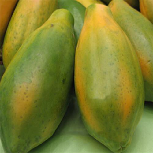 FarmersMarketGh's tweet photo. Pawpaw, known as "Fruit of the Angels". It is a nutrient dense fruit which is extremely rich in Vitamin C n Potassium. It's function stretches 4rm aiding in weight loss,providing good skin and vision .Get a pawpaw from The Farmer's Market at an unbeatable price #Farmersweek https://t.co/kYTwfu1jb4