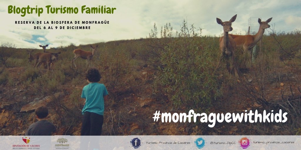 monfrague_'s tweet photo. Durante este #PuentedeDiciembre, varios destacados #blogguers de #viajes nos acompañarán a descubrir la #ReservadelaBiosfera de #Monfragüe. ¡Permanece atento/a y compartiremos su visión contigo! #monfraguewithkids #turismo_dipcc #Caceres #Extremadura https://t.co/HJeddRTbNr