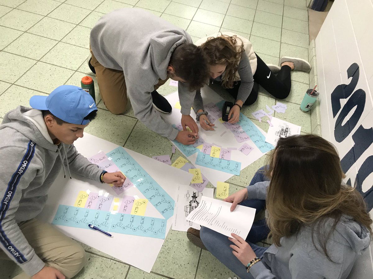 MancusoAPBio's tweet photo. Are you leading or lagging? #DNAreplication #APBioProbz https://t.co/VPJAdn3XQi