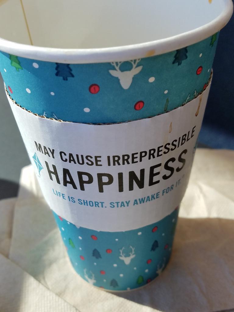 #SoACE18 Thanks to Tim Harding, the conference committee, volunteers, and the UTampa staff for a great conference! I head home irrepressibley happy! 👍