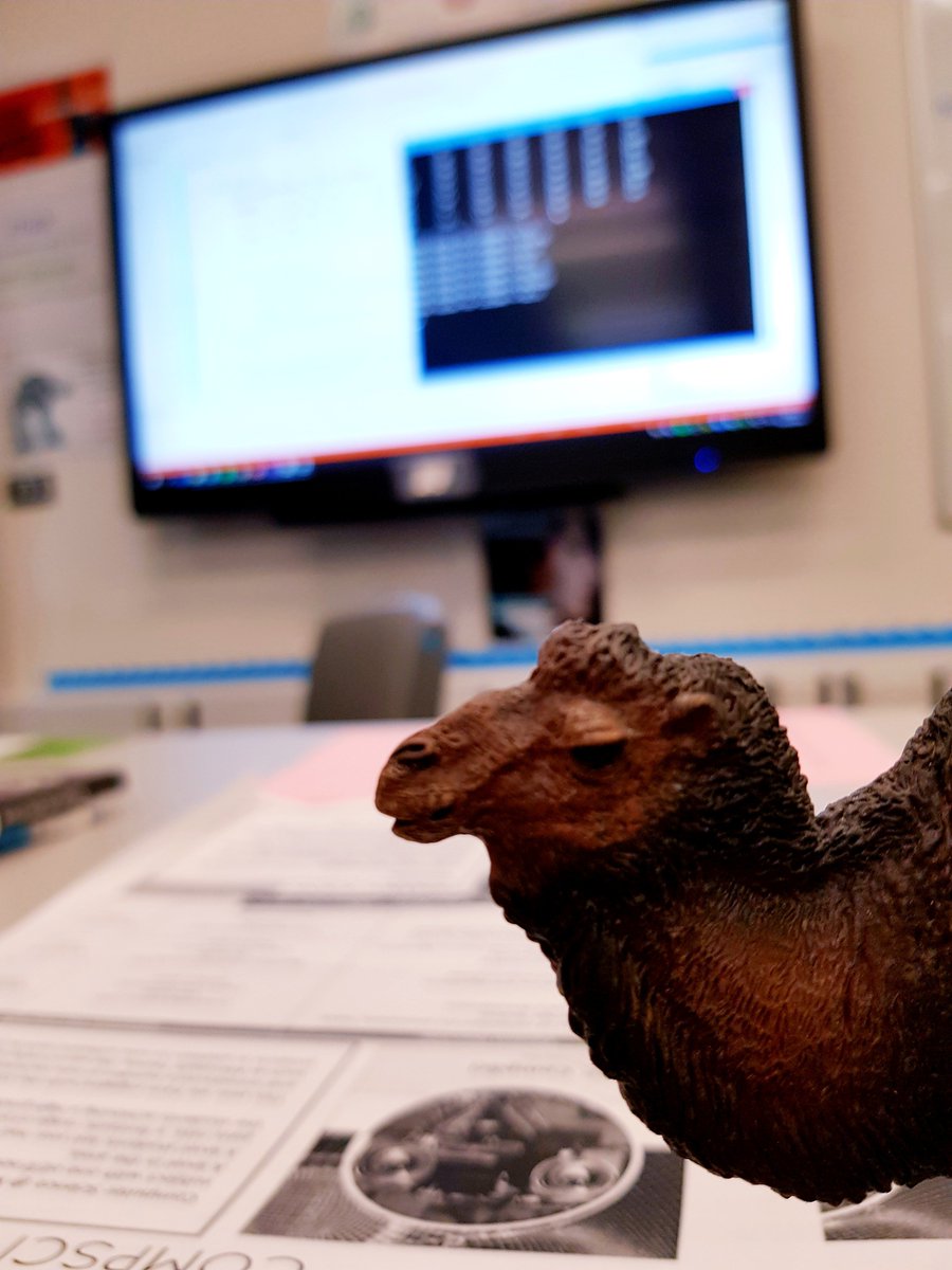 NSFC_CompSci's tweet image. Even our mascot Keith CoDeCaMeL is ready for visitors! #NCLSixthForm #computerscience #programmingparadigms #programminggoodpractice