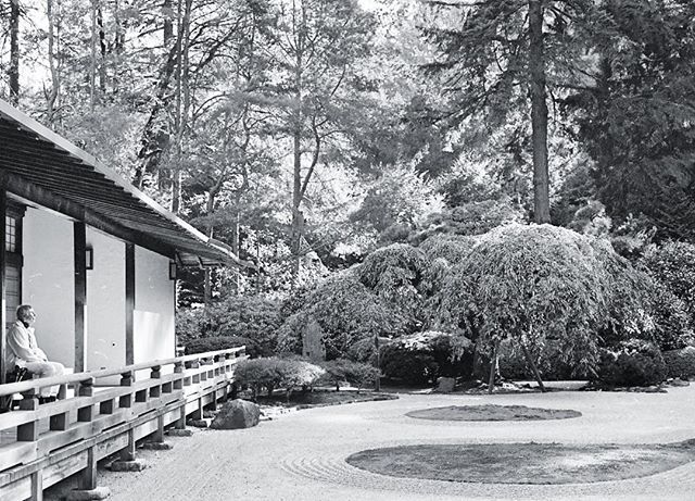 jerwaters's tweet image. A lady soaking up the sun in the peaceful Japanese gardens🧘🏼‍♀️
#olympusom2n #shootfilm #ilford #ilfordhp5 #50mm ift.tt/2zIerRQ