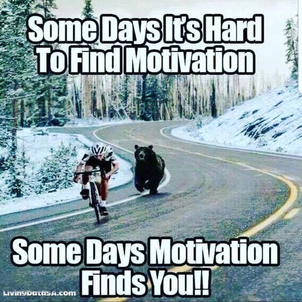 LivingDataSA's tweet image. Motivation at it’s best 🙈