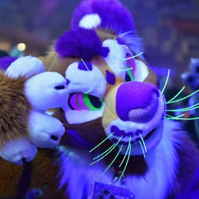 meowznstuff's tweet photo. Since my old account got locked i decided to redo my #4fursuitcrushes1pic 

@vanilladam 
@DibsDingo 
@Sunsetiger 
@Sheilarawrz 

Yall are beauties <3 https://t.co/ep7WVHqjbT