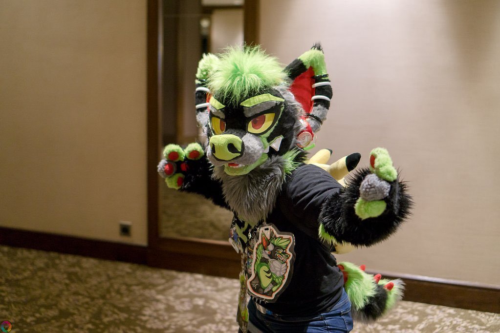meowznstuff's tweet photo. Since my old account got locked i decided to redo my #4fursuitcrushes1pic 

@vanilladam 
@DibsDingo 
@Sunsetiger 
@Sheilarawrz 

Yall are beauties <3 https://t.co/ep7WVHqjbT