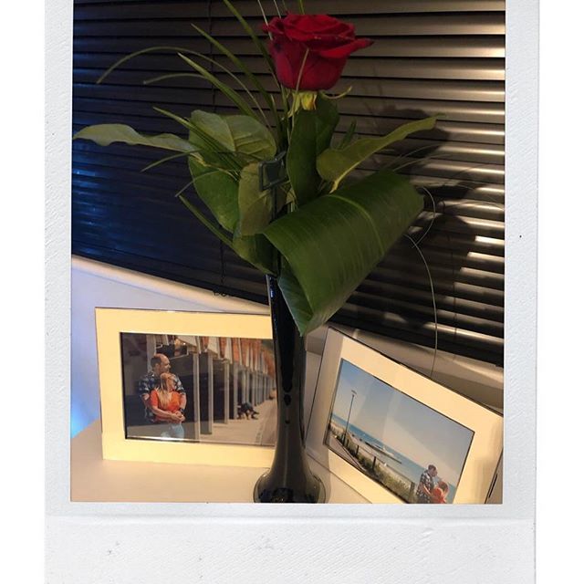 thedollydiary's tweet photo. 𝔽𝕠𝕦𝕣 𝕐𝕖𝕒𝕣𝕤 𝕋𝕠𝕘𝕖𝕥𝕙𝕖𝕣 𝕋𝕠𝕕𝕒𝕪! 𝕃𝕠𝕧𝕖 𝕐𝕠𝕦 @waynecooper7 💜xx⠀⠀⠀⠀⠀⠀⠀⠀⠀ ⠀⠀⠀⠀⠀⠀⠀⠀⠀ ⠀⠀⠀⠀⠀⠀⠀⠀⠀ #fouryearstogether #myworld #loveyou #fouryearanniversary #roses #anniversary #happyanniversary #lovehimsomuch https://t.co/AWAITe8OSJ https://t.co/lqSvchgdyX