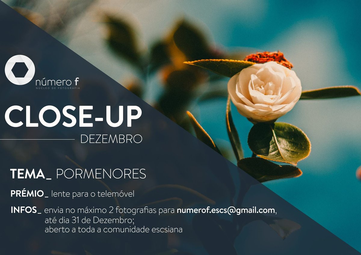 Mais um mês, mais um close up. Desta vez o desafio é olhar para o mundo em redor e encontrar um pormenor que seja interessante. Boas capturas! 📸