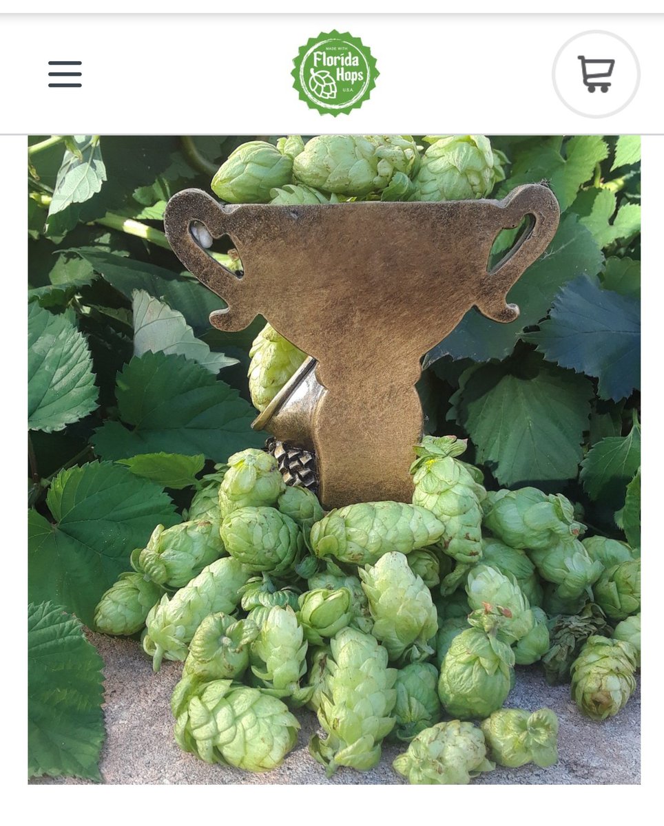 TLHBeerSociety's tweet photo. Hops grown in Fla. are a BIG deal rn.
So that's why this week on the Saturday Morning Bottle Share on @979ESPNRadio, we've got this guy
-------> @FLHops <-------
to tell us all the latest news on the #FLHops front. Very excited about this interview! Tune in Sat. at 9:30 a.m.! https://t.co/QpOyv0n5il