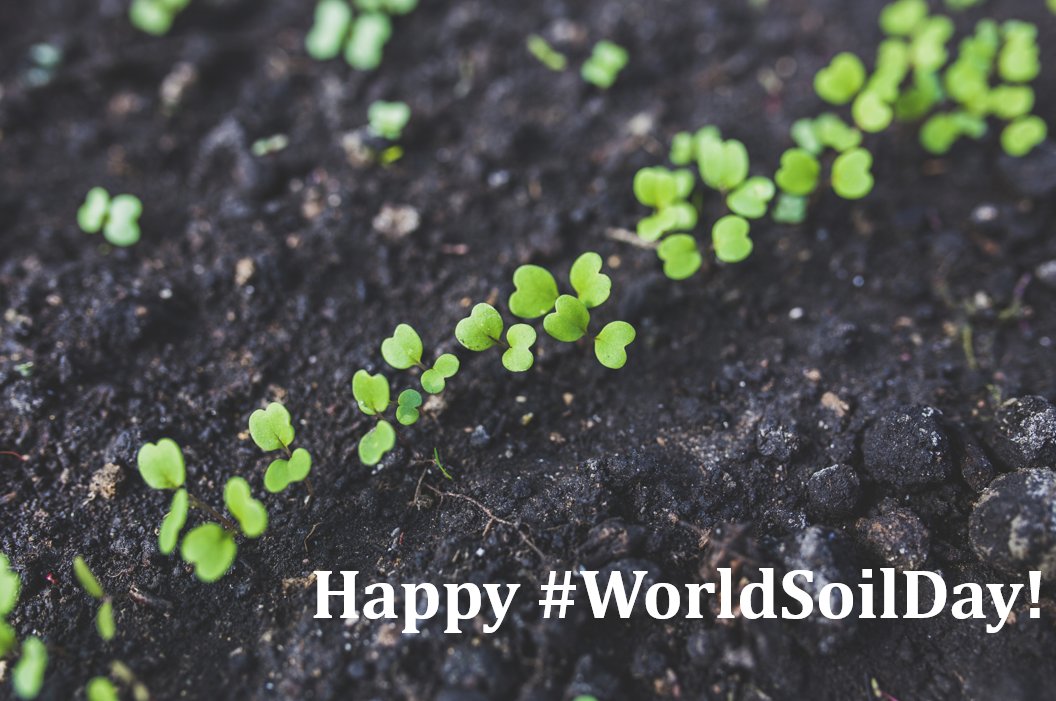 FoundationFAR's tweet photo. Happy #WorldSoilDay! https://t.co/fEesMHMdMl